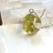 Cargar imagen en el visor de la galería, {{ shop_elviajedelaslobas }} {{ joyería_botánica}} {{ joyería_artesanal}} {{ joyas_naturales }} {{ amuletos_botánicos}}