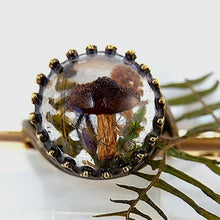 Cargar imagen en el visor de la galería, {{ shop_elviajedelaslobas }} {{ joyería_botánica}} {{ joyería_artesanal}} {{ joyas_naturales }} {{ amuletos_botánicos}}
